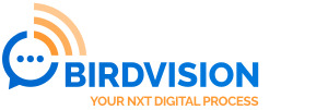 Birdvision Logo